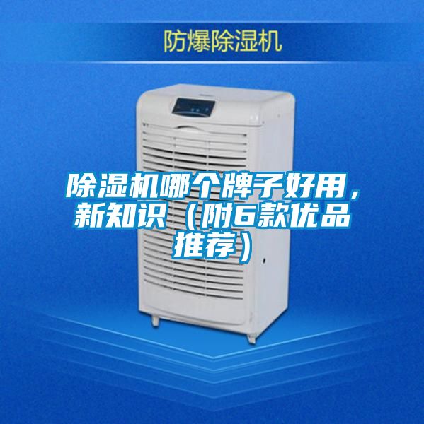 除濕機(jī)哪個(gè)牌子好用，新知識(shí)（附6款優(yōu)品推薦）