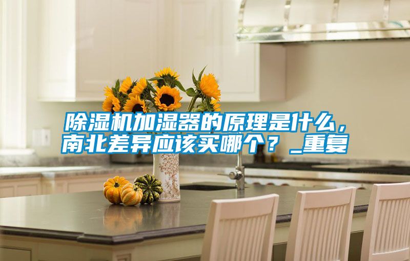除濕機(jī)加濕器的原理是什么，南北差異應(yīng)該買哪個(gè)？_重復(fù)