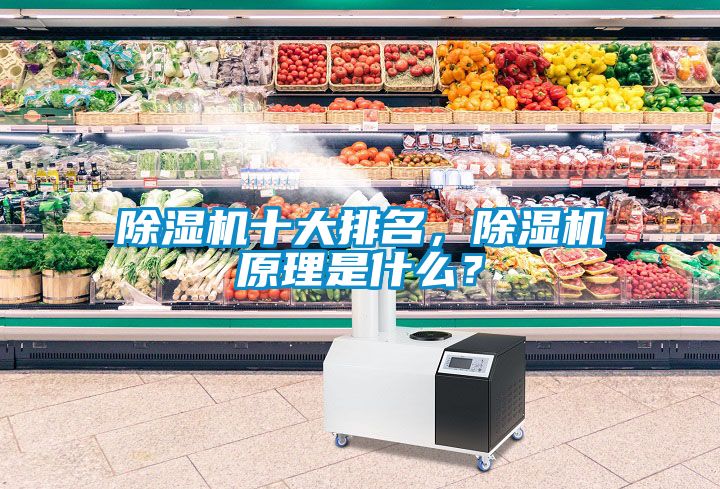除濕機(jī)十大排名，除濕機(jī)原理是什么？
