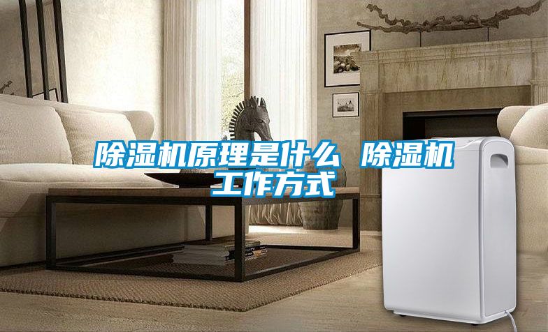 除濕機(jī)原理是什么 除濕機(jī)工作方式