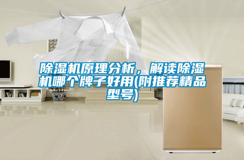 除濕機(jī)原理分析，解讀除濕機(jī)哪個牌子好用(附推薦精品型號)