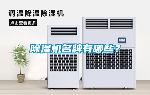 除濕機(jī)名牌有哪些？