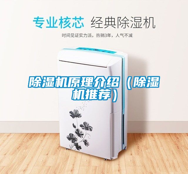 除濕機(jī)原理介紹（除濕機(jī)推薦）
