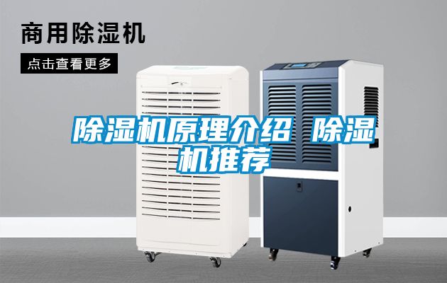 除濕機(jī)原理介紹 除濕機(jī)推薦