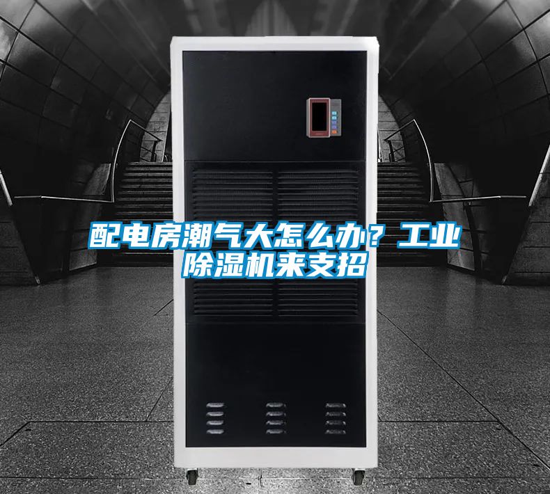 配電房潮氣大怎么辦？工業(yè)除濕機(jī)來(lái)支招