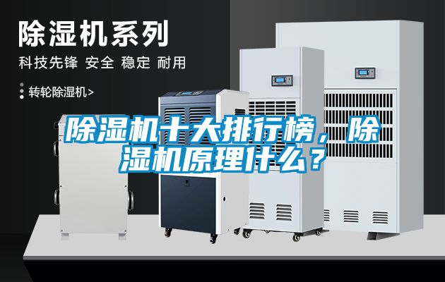 除濕機(jī)十大排行榜，除濕機(jī)原理什么？