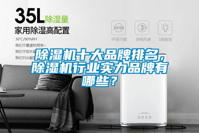 除濕機十大品牌排名，除濕機行業(yè)實力品牌有哪些？