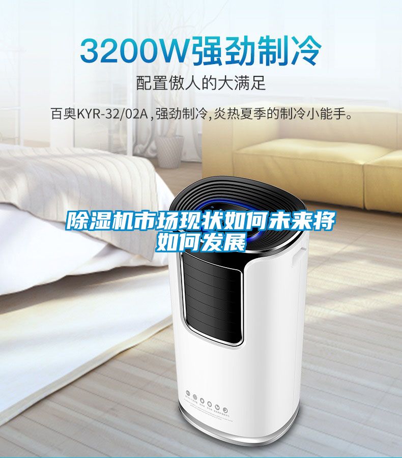 除濕機市場現(xiàn)狀如何未來將如何發(fā)展