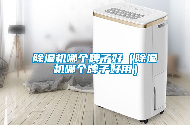 除濕機(jī)哪個牌子好（除濕機(jī)哪個牌子好用）
