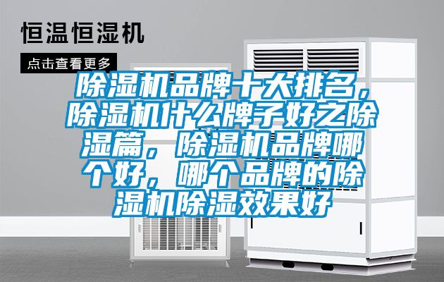 除濕機(jī)品牌十大排名，除濕機(jī)什么牌子好之除濕篇，除濕機(jī)品牌哪個(gè)好，哪個(gè)品牌的除濕機(jī)除濕效果好