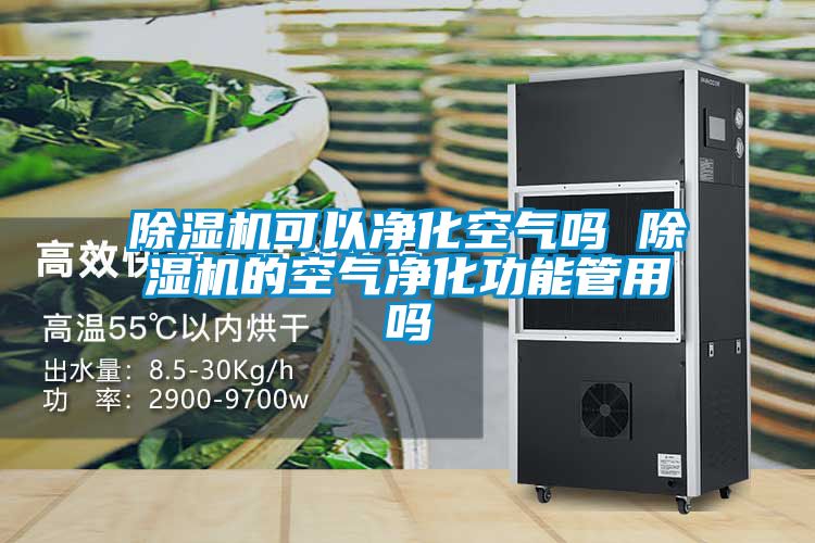除濕機(jī)可以凈化空氣嗎 除濕機(jī)的空氣凈化功能管用嗎