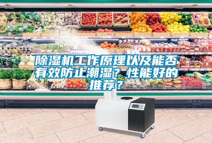 除濕機工作原理以及能否有效防止潮濕？性能好的推薦？