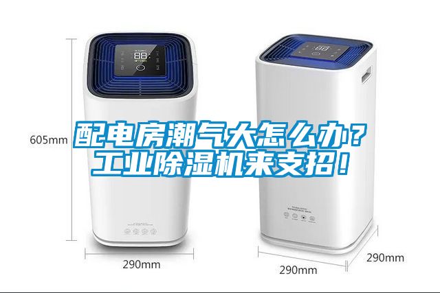 配電房潮氣大怎么辦？工業(yè)除濕機來支招！