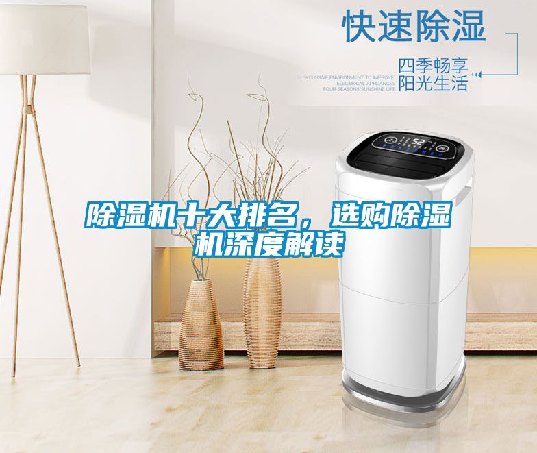 除濕機(jī)十大排名，選購除濕機(jī)深度解讀