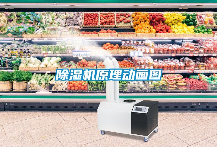 除濕機(jī)原理動畫圖