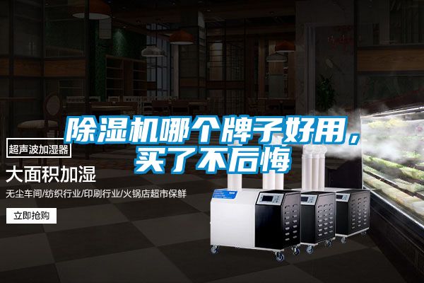 除濕機(jī)哪個(gè)牌子好用，買(mǎi)了不后悔