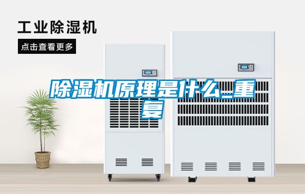 除濕機(jī)原理是什么_重復(fù)