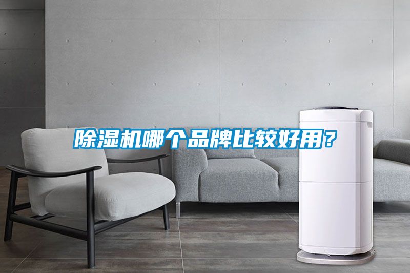 除濕機(jī)哪個(gè)品牌比較好用？