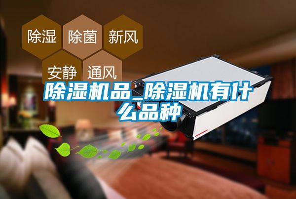 除濕機(jī)品_除濕機(jī)有什么品種