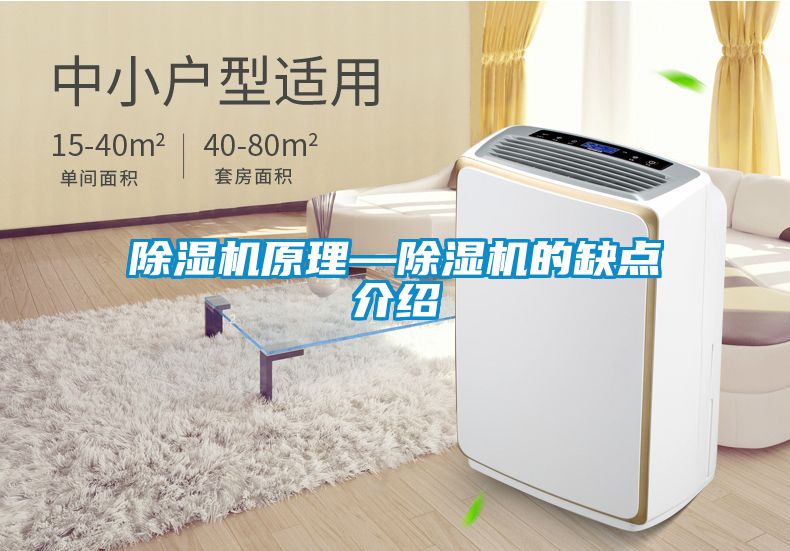 除濕機(jī)原理—除濕機(jī)的缺點(diǎn)介紹