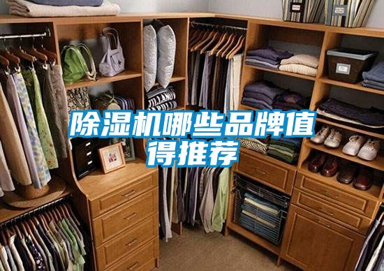 除濕機(jī)哪些品牌值得推薦