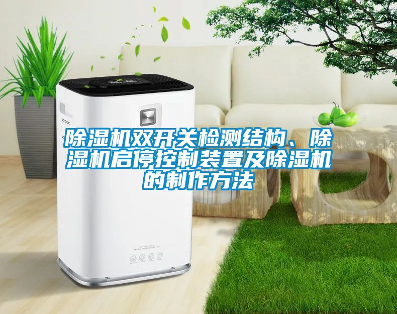 除濕機雙開關檢測結構、除濕機啟停控制裝置及除濕機的制作方法