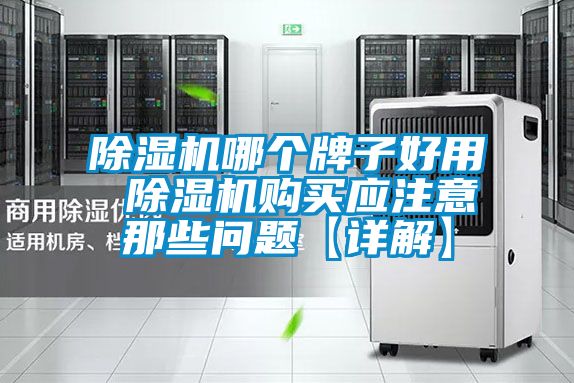 除濕機(jī)哪個(gè)牌子好用 除濕機(jī)購(gòu)買(mǎi)應(yīng)注意那些問(wèn)題【詳解】