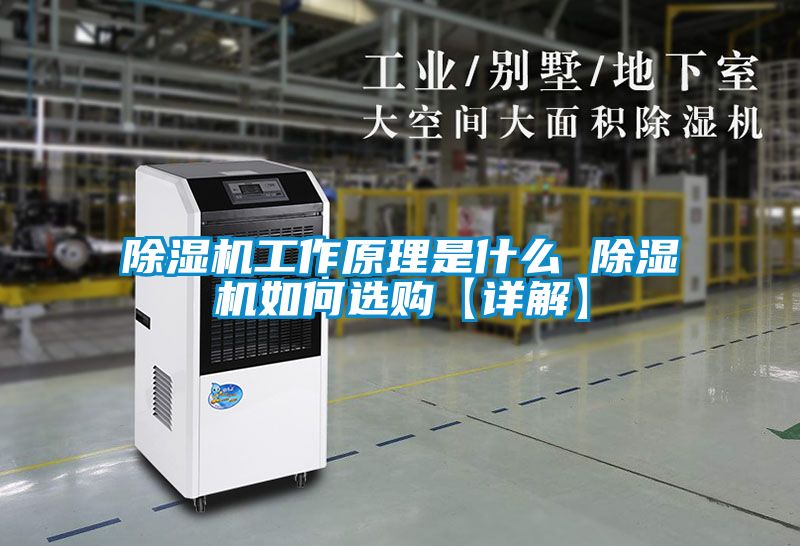 除濕機(jī)工作原理是什么 除濕機(jī)如何選購【詳解】