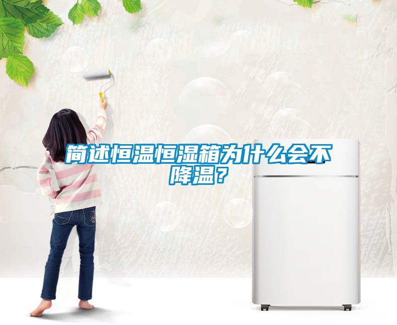 簡述恒溫恒濕箱為什么會不降溫？