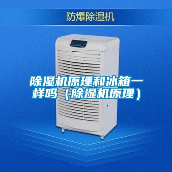 除濕機(jī)原理和冰箱一樣嗎（除濕機(jī)原理）