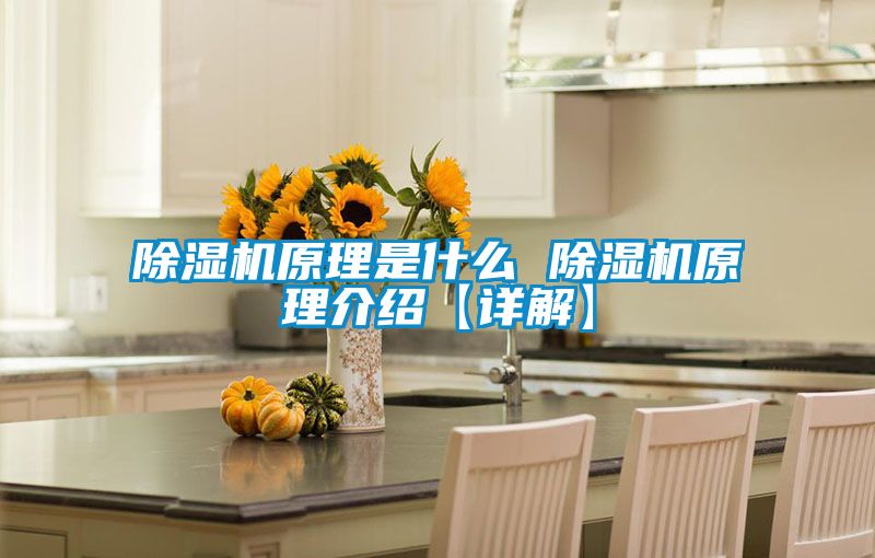 除濕機(jī)原理是什么 除濕機(jī)原理介紹【詳解】