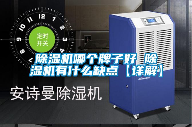 除濕機(jī)哪個(gè)牌子好 除濕機(jī)有什么缺點(diǎn)【詳解】