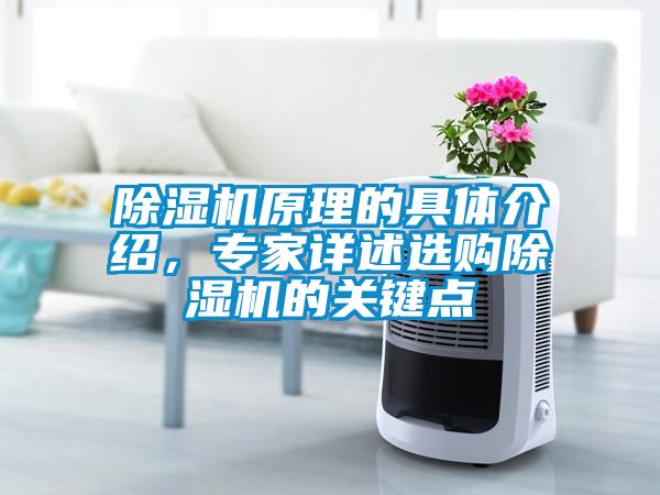 除濕機原理的具體介紹，專家詳述選購除濕機的關鍵點