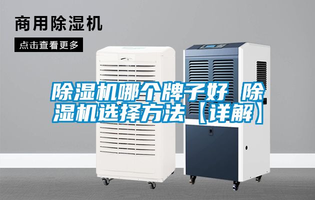 除濕機(jī)哪個(gè)牌子好 除濕機(jī)選擇方法【詳解】