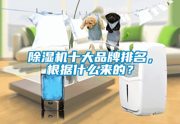 除濕機十大品牌排名，根據(jù)什么來的？