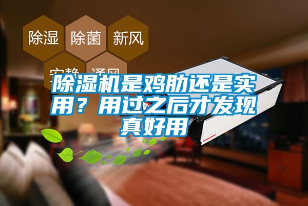 除濕機(jī)是雞肋還是實(shí)用？用過之后才發(fā)現(xiàn)真好用