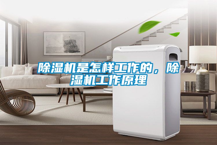 除濕機(jī)是怎樣工作的，除濕機(jī)工作原理