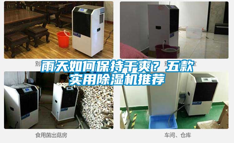雨天如何保持干爽？五款實(shí)用除濕機(jī)推薦