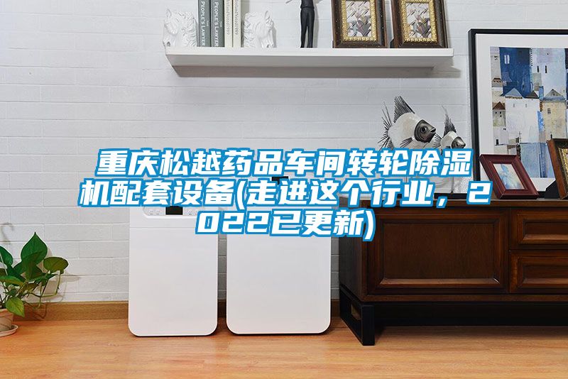 重慶松越藥品車間轉(zhuǎn)輪除濕機配套設備(走進這個行業(yè)，2022已更新)