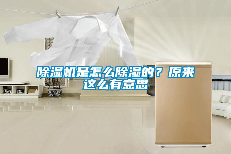 除濕機(jī)是怎么除濕的？原來這么有意思