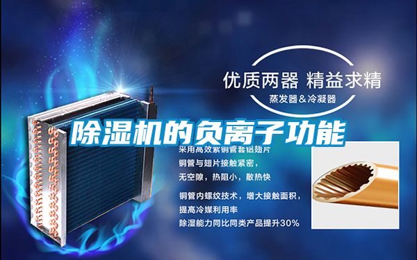 除濕機(jī)的負(fù)離子功能