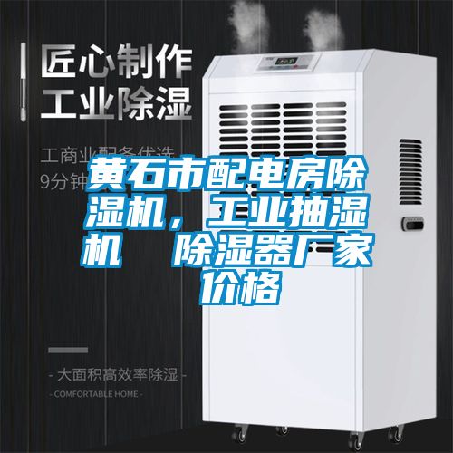 黃石市配電房除濕機，工業(yè)抽濕機  除濕器廠家 價格