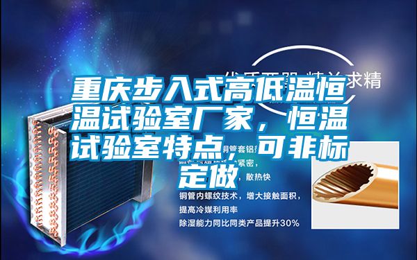 重慶步入式高低溫恒溫試驗(yàn)室廠家，恒溫試驗(yàn)室特點(diǎn)，可非標(biāo)定做