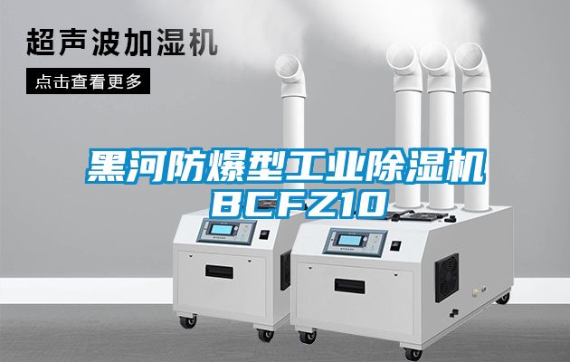 黑河防爆型工業(yè)除濕機 BCFZ10