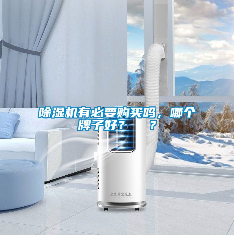除濕機(jī)有必要購(gòu)買(mǎi)嗎，哪個(gè)牌子好？  ？