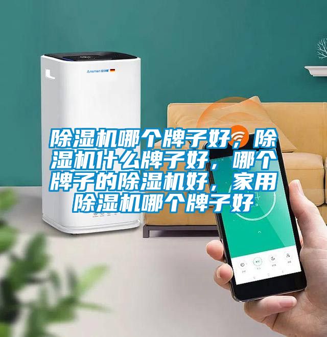 除濕機(jī)哪個(gè)牌子好，除濕機(jī)什么牌子好，哪個(gè)牌子的除濕機(jī)好，家用除濕機(jī)哪個(gè)牌子好