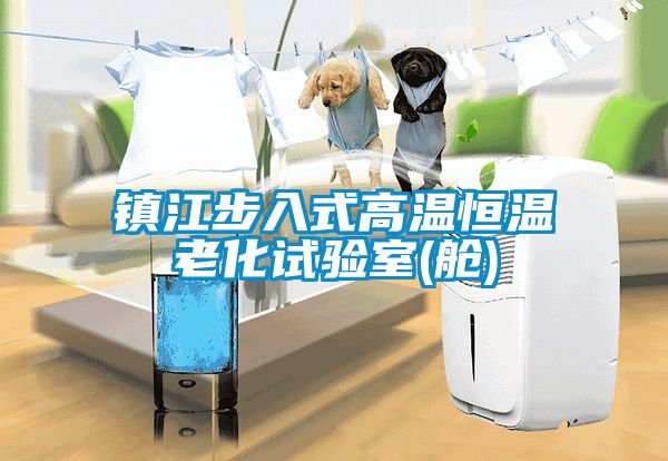 鎮(zhèn)江步入式高溫恒溫老化試驗(yàn)室(艙)