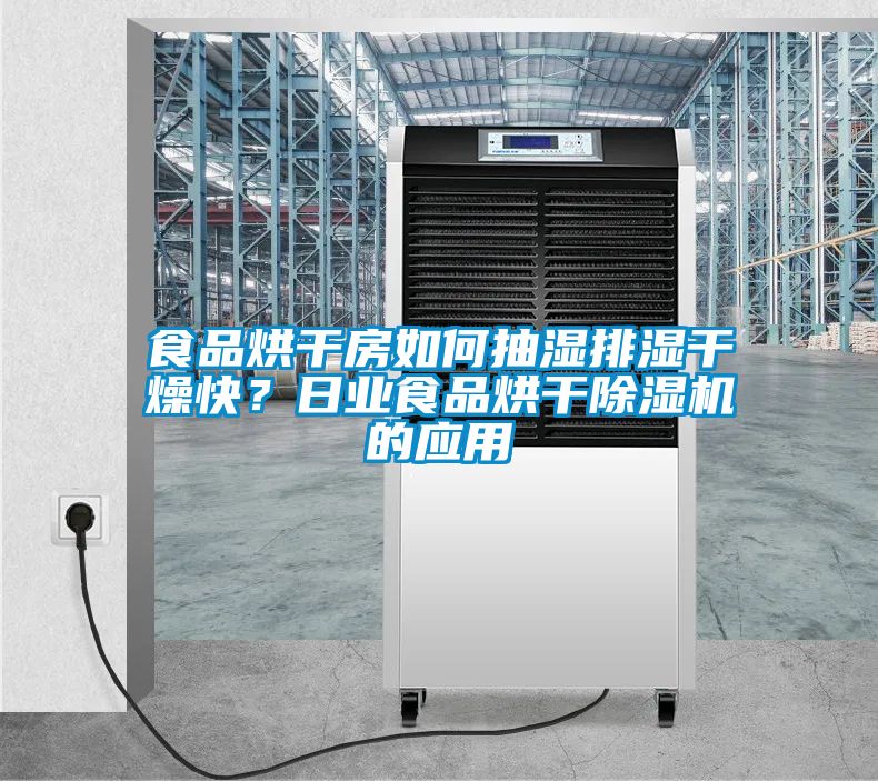 食品烘干房如何抽濕排濕干燥快？日業(yè)食品烘干除濕機的應用