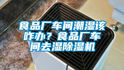 食品廠車間潮濕該咋辦？食品廠車間去濕除濕機(jī)