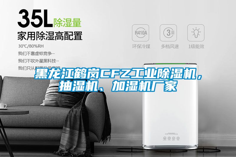 黑龍江鶴崗CFZ工業(yè)除濕機，抽濕機、加濕機廠家